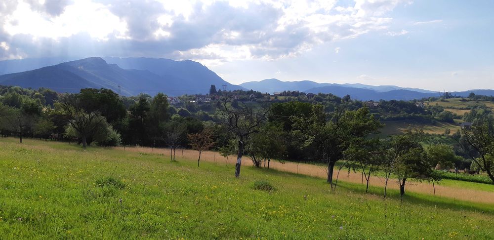 Teren intravilan BRAN-Bradul Inalt-Priveliste panoramica