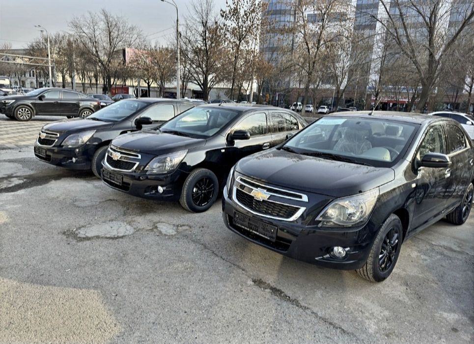 **‼️Cobalt midnight salon narxi‼️ Qora gbo