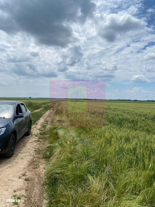 Teren 6,26 ha lângă DEx12 Pitești