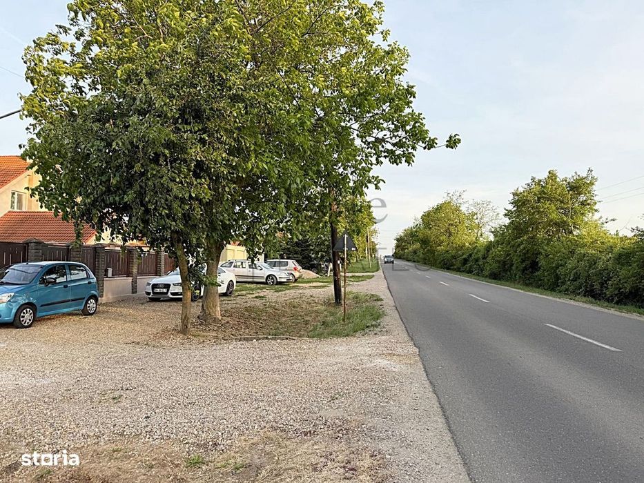Teren 600 mp de vanzare in Paleu | Str. Principala