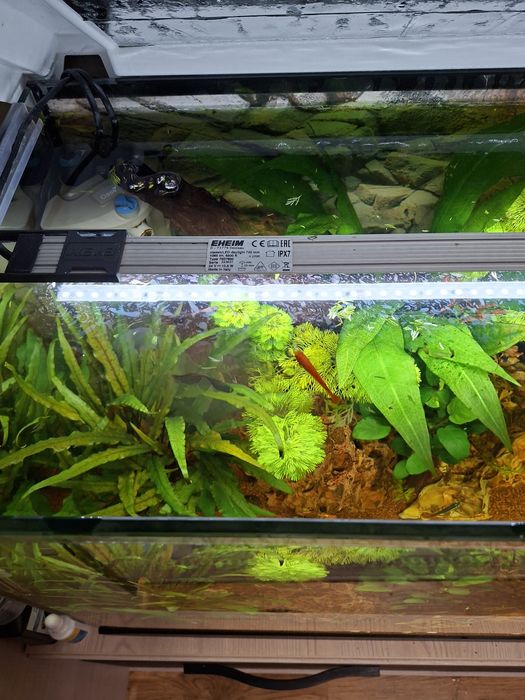 Acvariu Eheim Aquapro 126 l