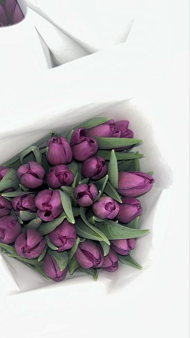 Тюльпаны оптом и в розницу