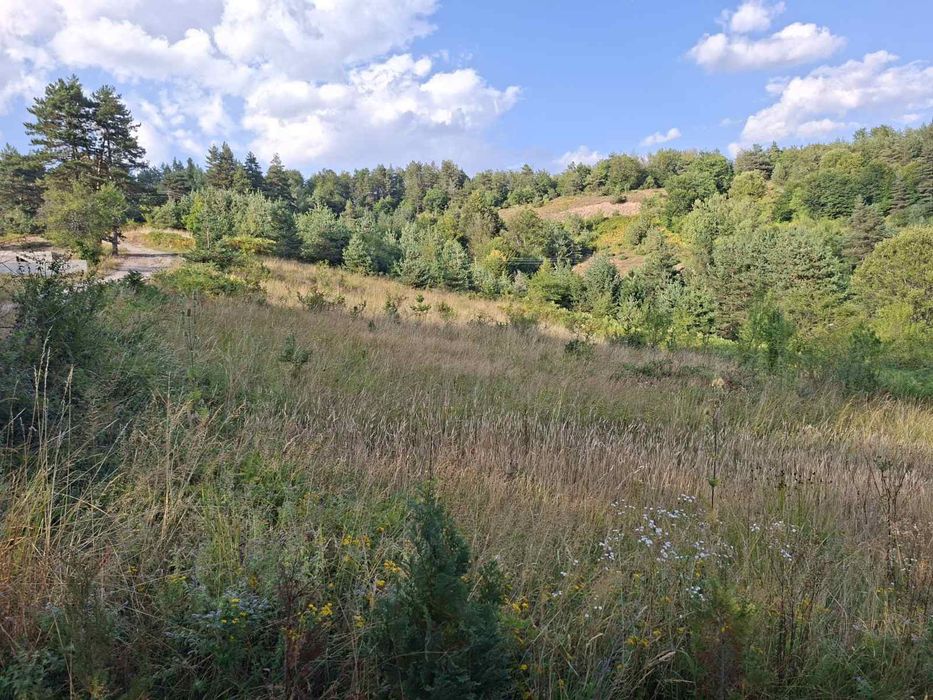 Продава се Парцел в с. Мостово, Област Пловдив - 909 кв.м за 51 €/кв.м - Снимка #4