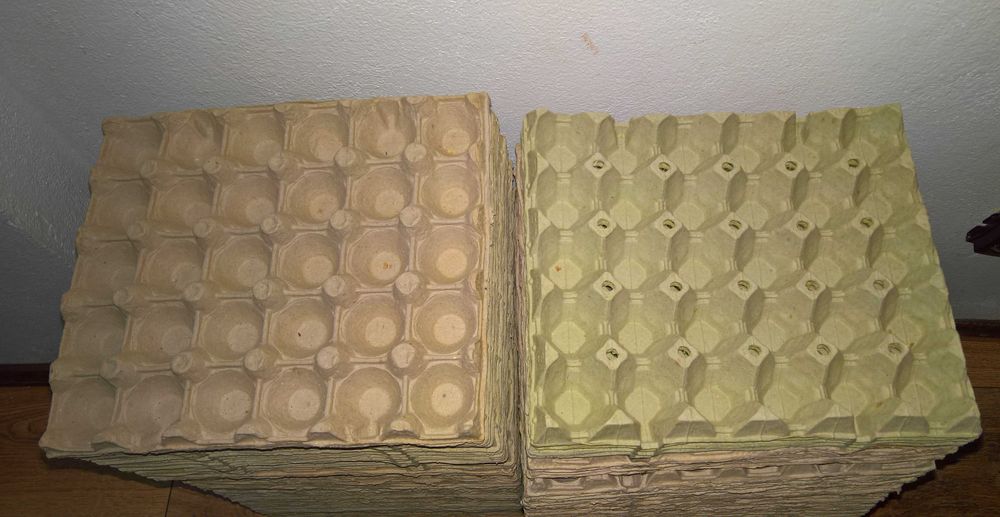 50 cofraje carton/30 oua