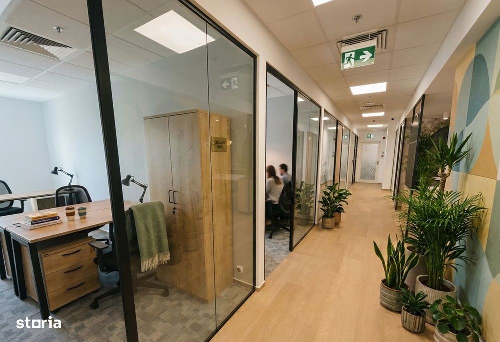 Birouri Calea Victoriei de inchiriat