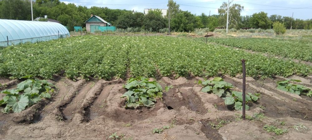 Продаю дом бывший  совхоз Карагандинский