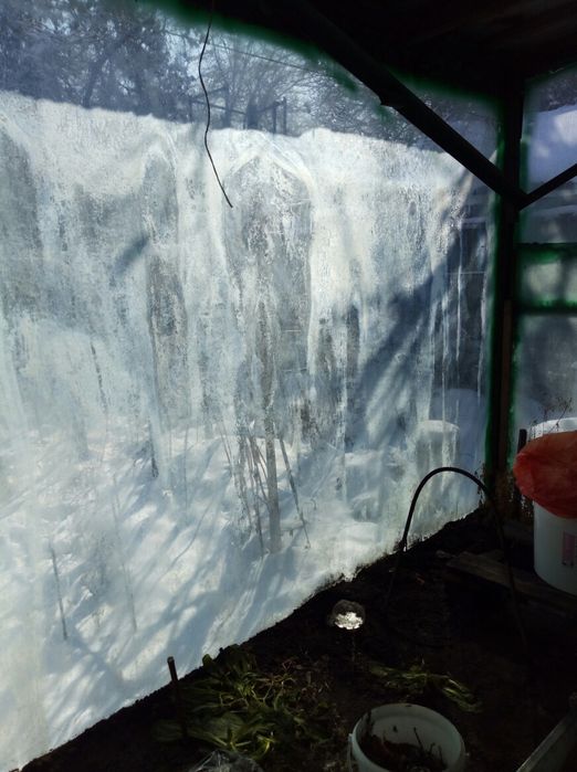 Парник стекло