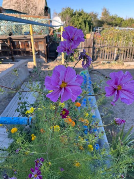 Дача на берегу соленого озера