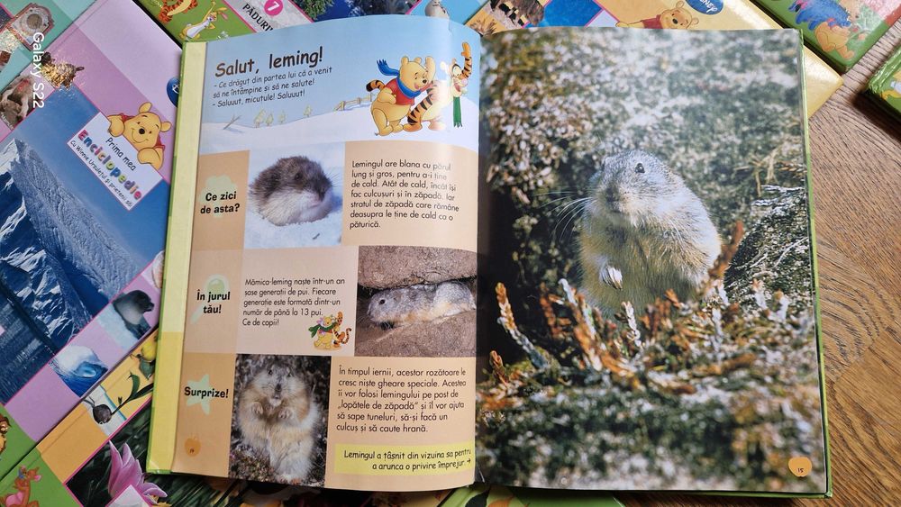 Enciclopedie Disney pt copii - Winnie the Pooh