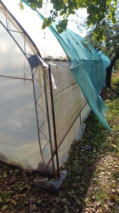 Оранжерия-Асеноградска