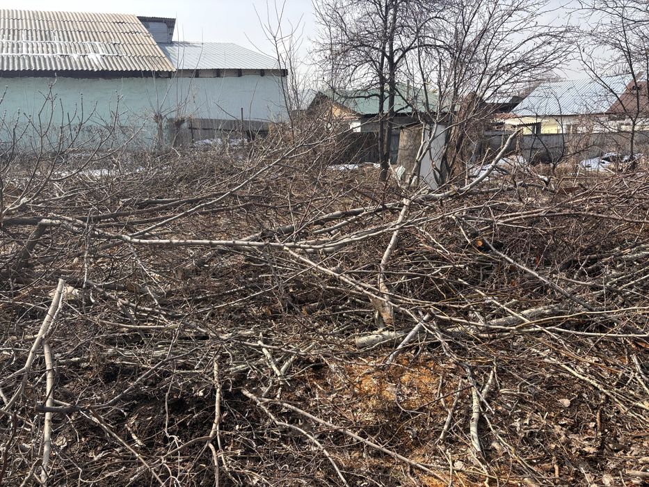 Отдам дрова бесплатно