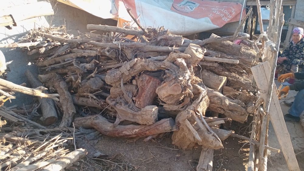 Otin sotiladi buxoro tuman gala osiyo mevazor kochasi 3 chi uy