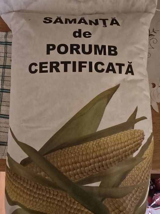 Porumb sămânță Fundulea