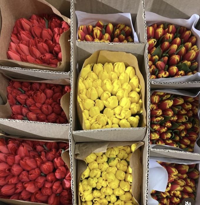 Тюльпаны Оптом Уральск