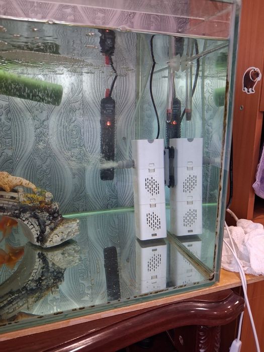 Продам аквариум с золотой рибками