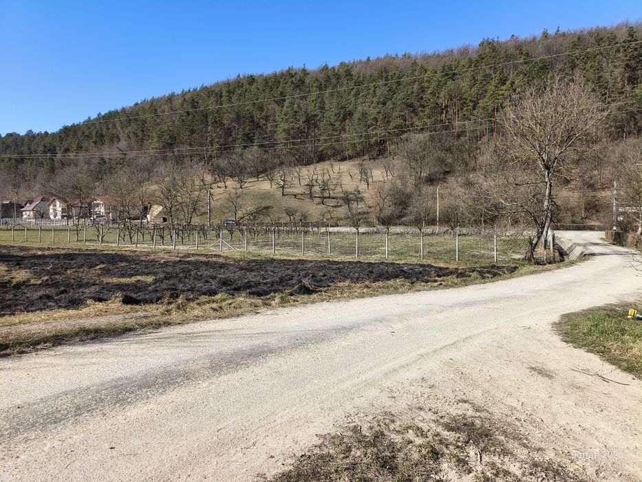 Vând teren intravilan Buciumi