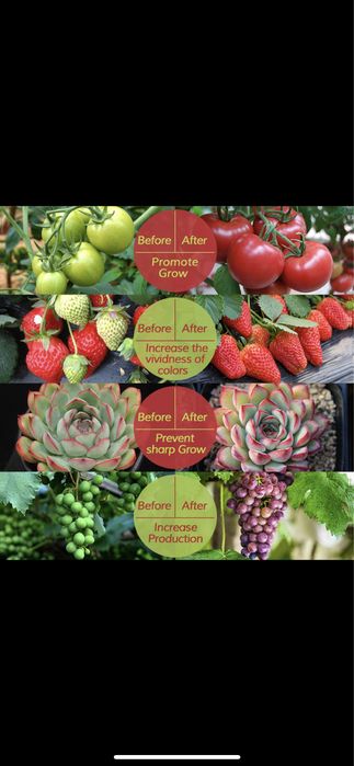 фитолампа для растений