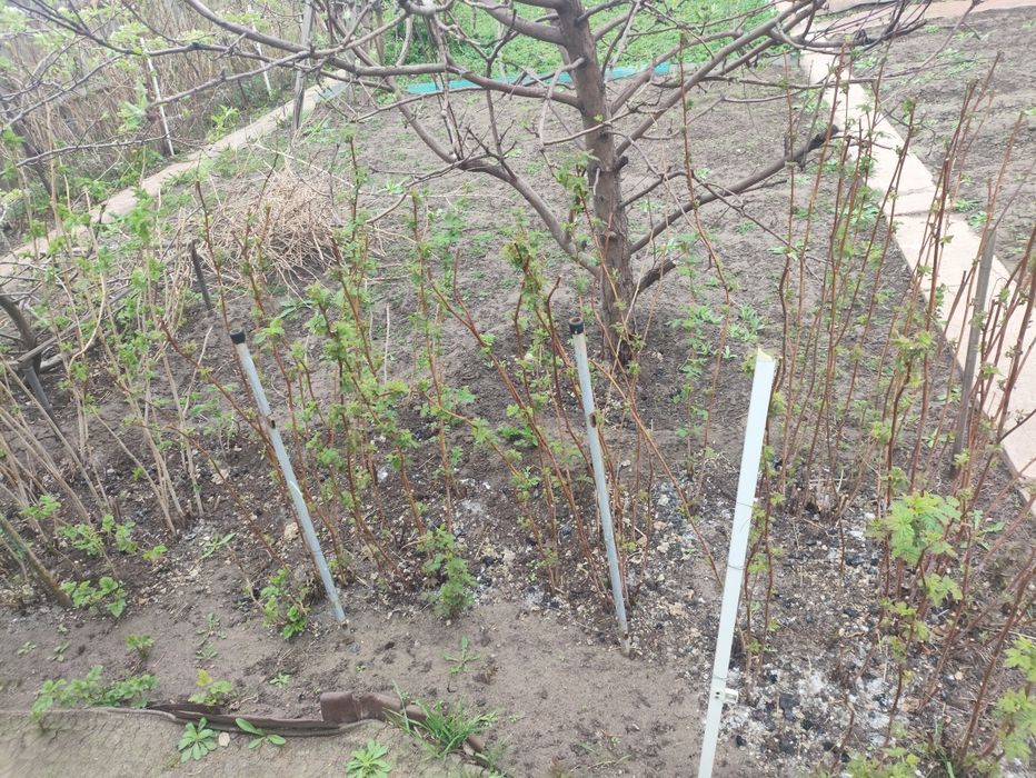 Продам дачу текстильщик 1.