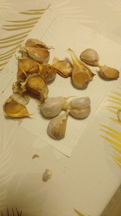 Чесночные зубки .