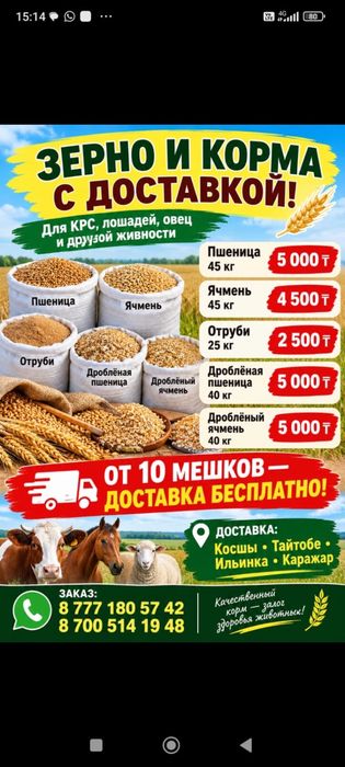 Продажа зерна и корма