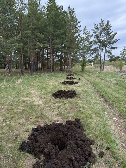 Земельный участок