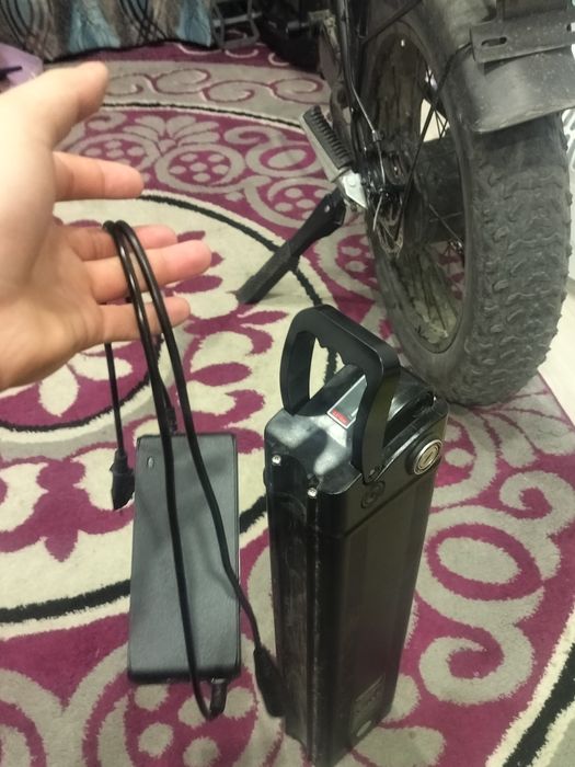 Электро велик леопард