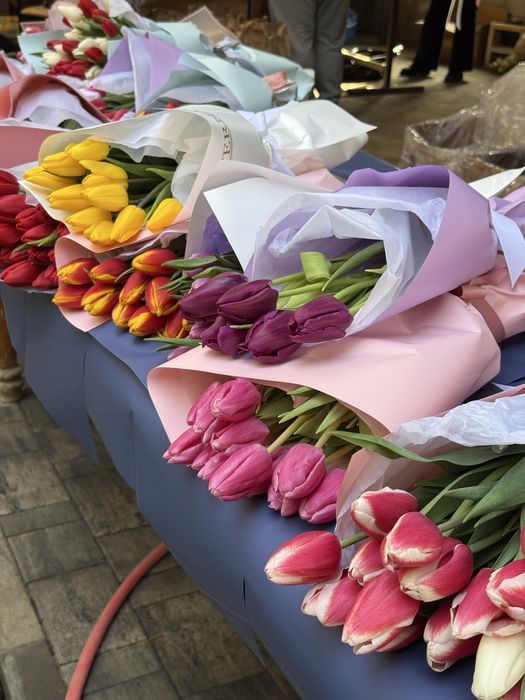 ОПТОМ тюлпаны голдандия