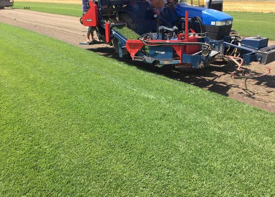 Gazon Rulou Proaspăt – Livrare în Toată Țara și Montaj