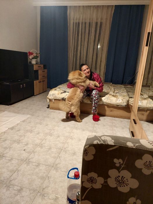 Продавам Чао  Чао