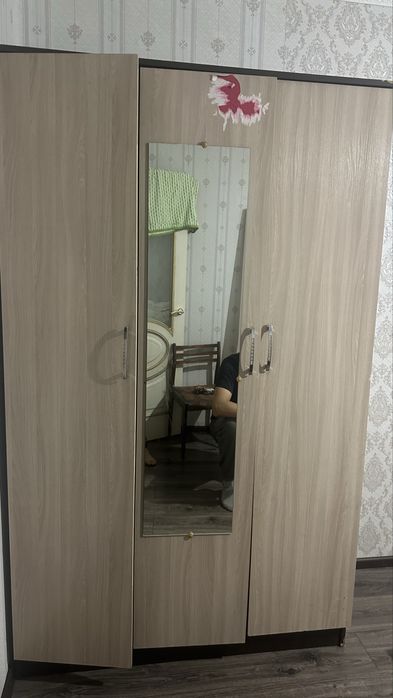 Спальный шкаф…..