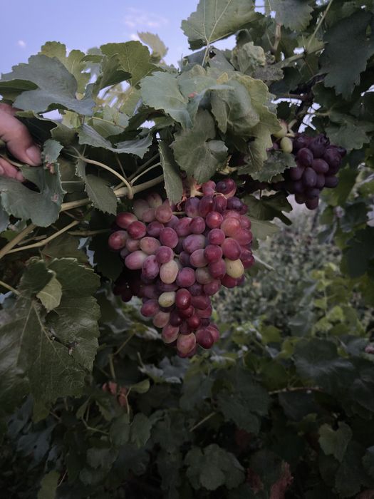 Продам дачу возле озера
