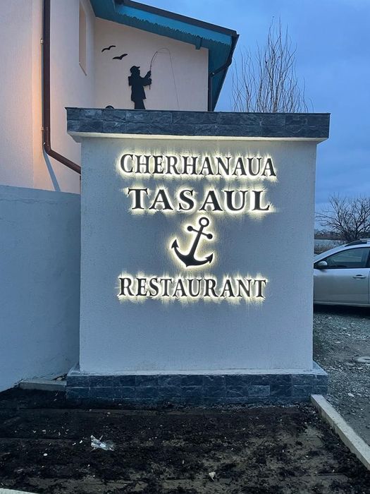 Firme Luminoase Litere Volumetrice luminoase ,Casete luminoase Toteme