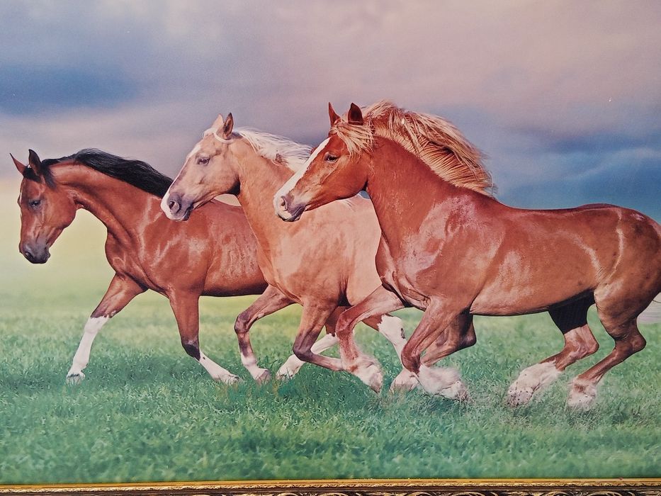 Большая картина с рамкой