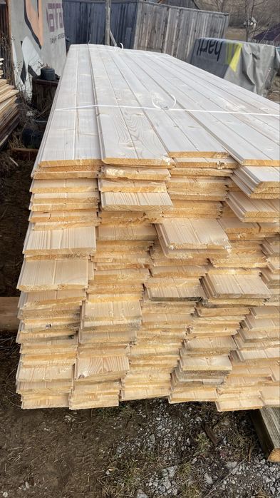 Lambriu molid grosime 1.8 cm