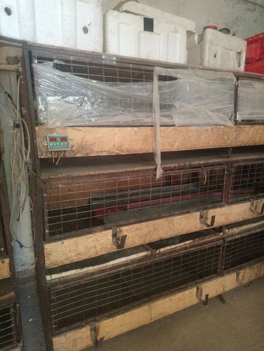 Продам брудер для бройлеров