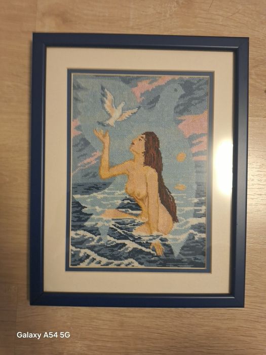 Tablou/goblen nude înrâmat