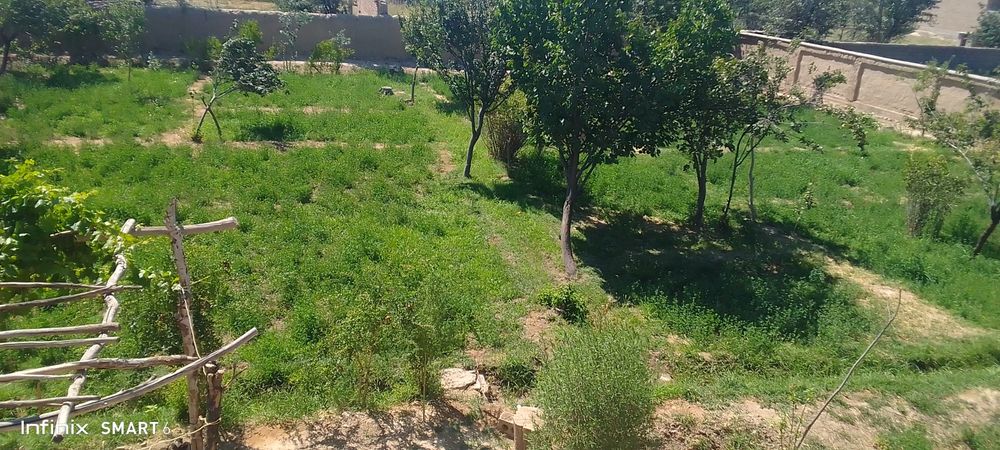 16 sotix yer sotiladi