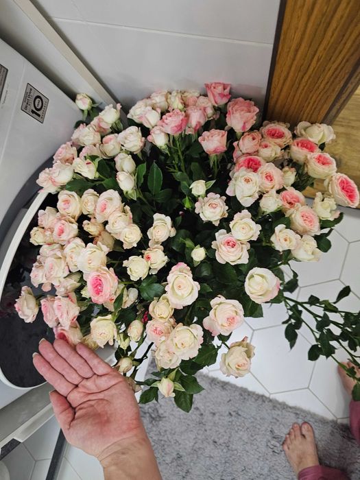 Букет Цветы розы