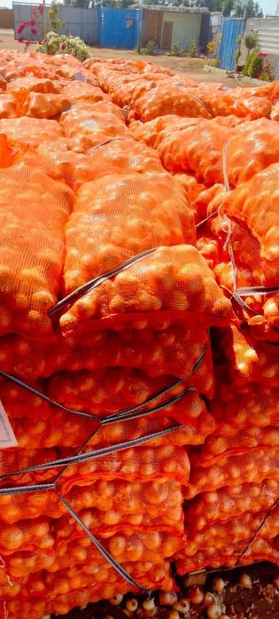 Лук оптом свежий