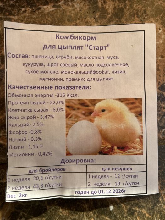 Продам цыплят породы Адлер