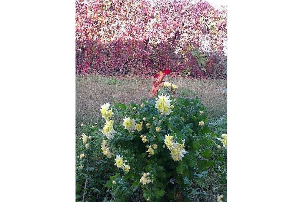 Продава се Къща в с. Червена вода, Област Русе - 360 кв.м за 864 €/кв.м - Снимка #17