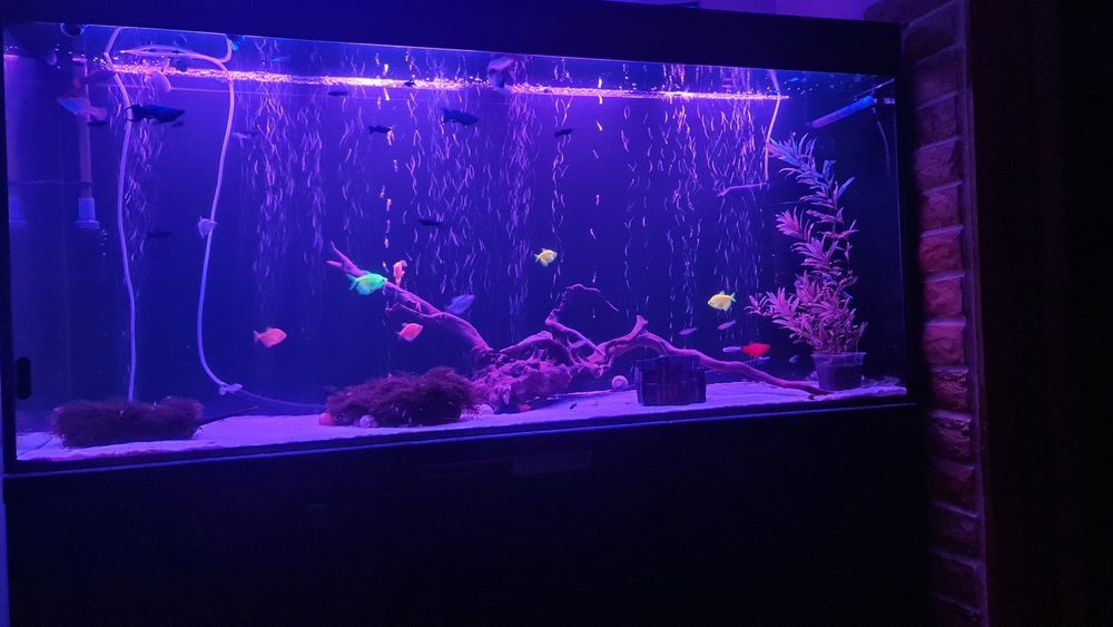 Продам аквариум 400л