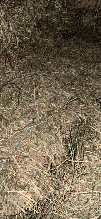 Vand baloti de lucerna/ luțerna