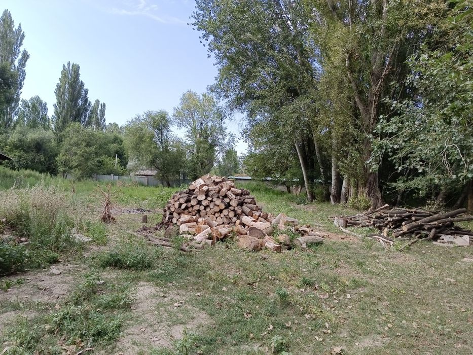 Земля 1 гектаров