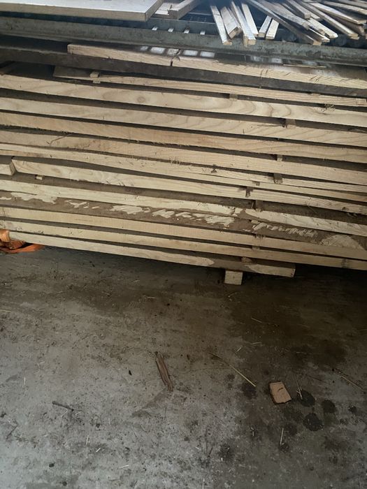 Scandura frasin uscata