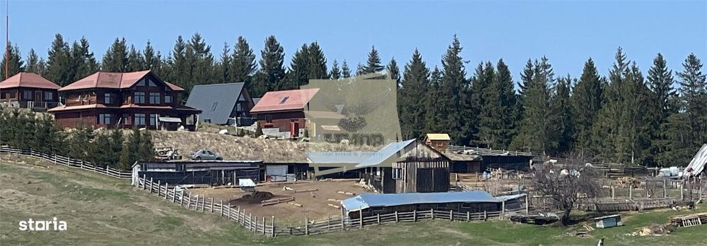 Terenuri cu PUZ si apa suprafete intre 570 mp 2025 mp in Paltinis- Sib