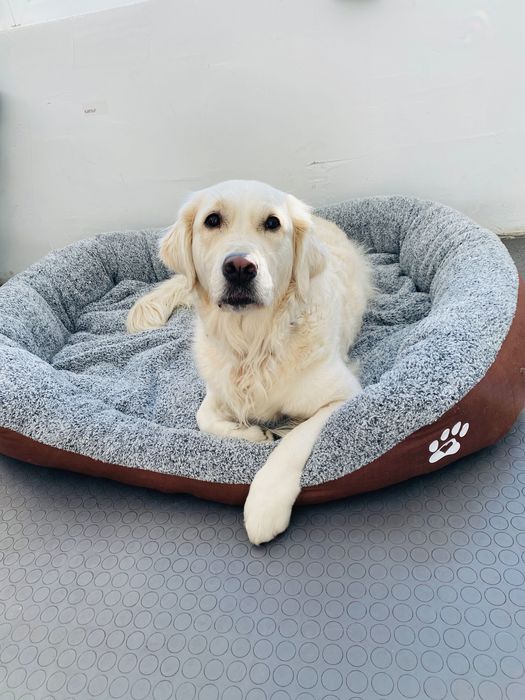 Легло за голямо куче с лапичка ХХЛ - кафяво