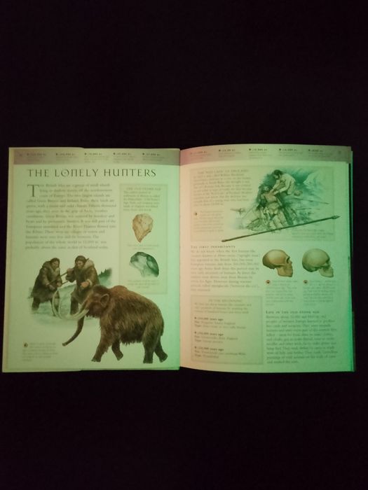 Книга о истории Великобритании