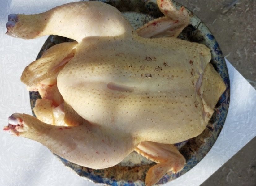 Бройлер тушками!