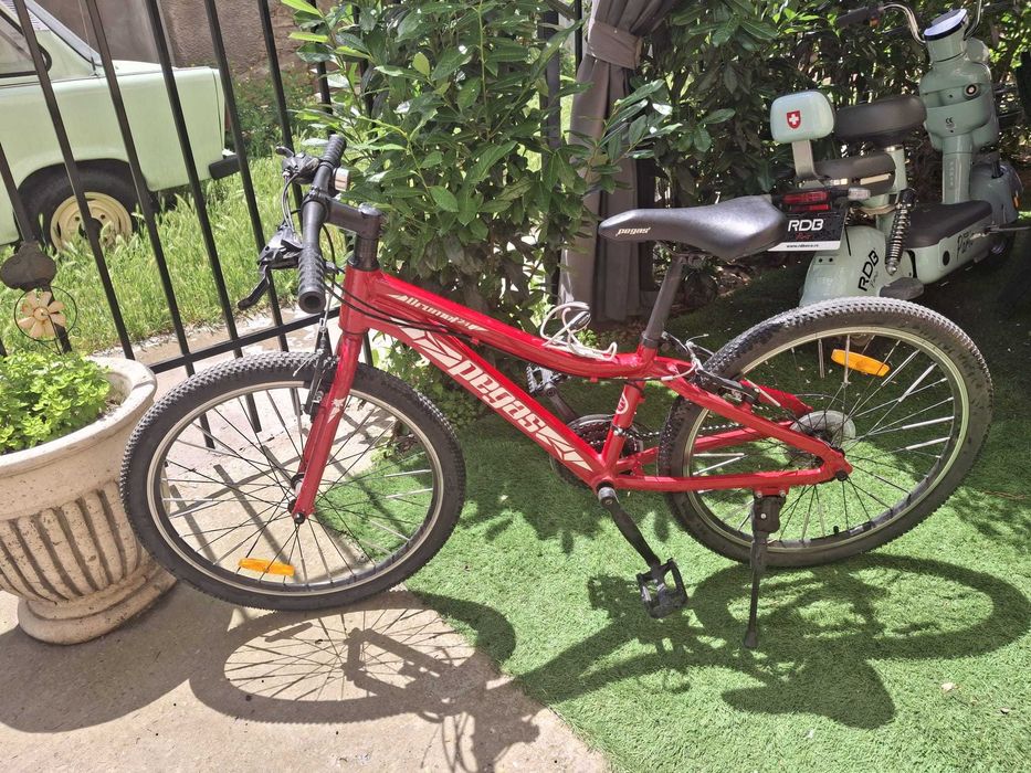 Bicicleta Pegas.